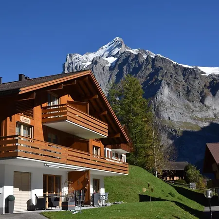 Apartments Kirchbuehl Grindelwald Exterior photo