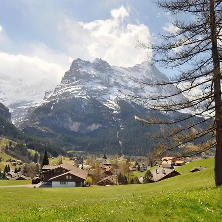 Apartments Kirchbuehl Grindelwald Room photo